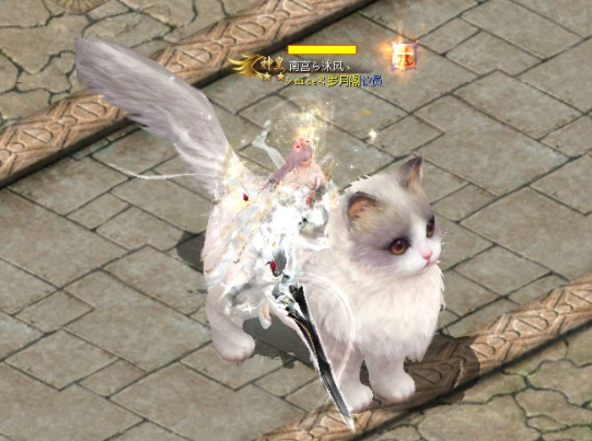 镜头中透露了许多让人忍俊不禁的信息这款由魔域出品的狗粮 镜头中透露了许多让人忍俊不禁的信息这款由魔域出品的狗粮